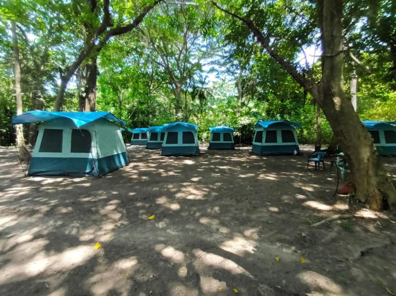 Happy Camping Arrecifes Dentro Del Parque Nacional Natural Tayrona El Coquito Экстерьер фото